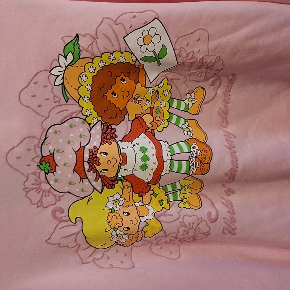 Strawberry Shortcake Theme Whimsical Pink Hoodie with Cartoon Print - Picture 4 of 4